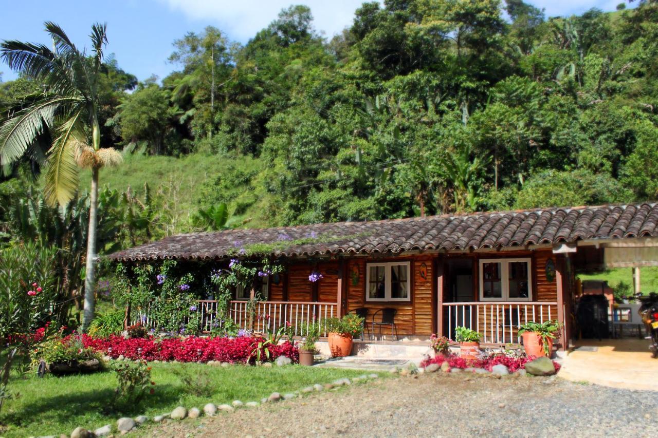 سالنتو Ecolodge Puente Explanacion المظهر الخارجي الصورة