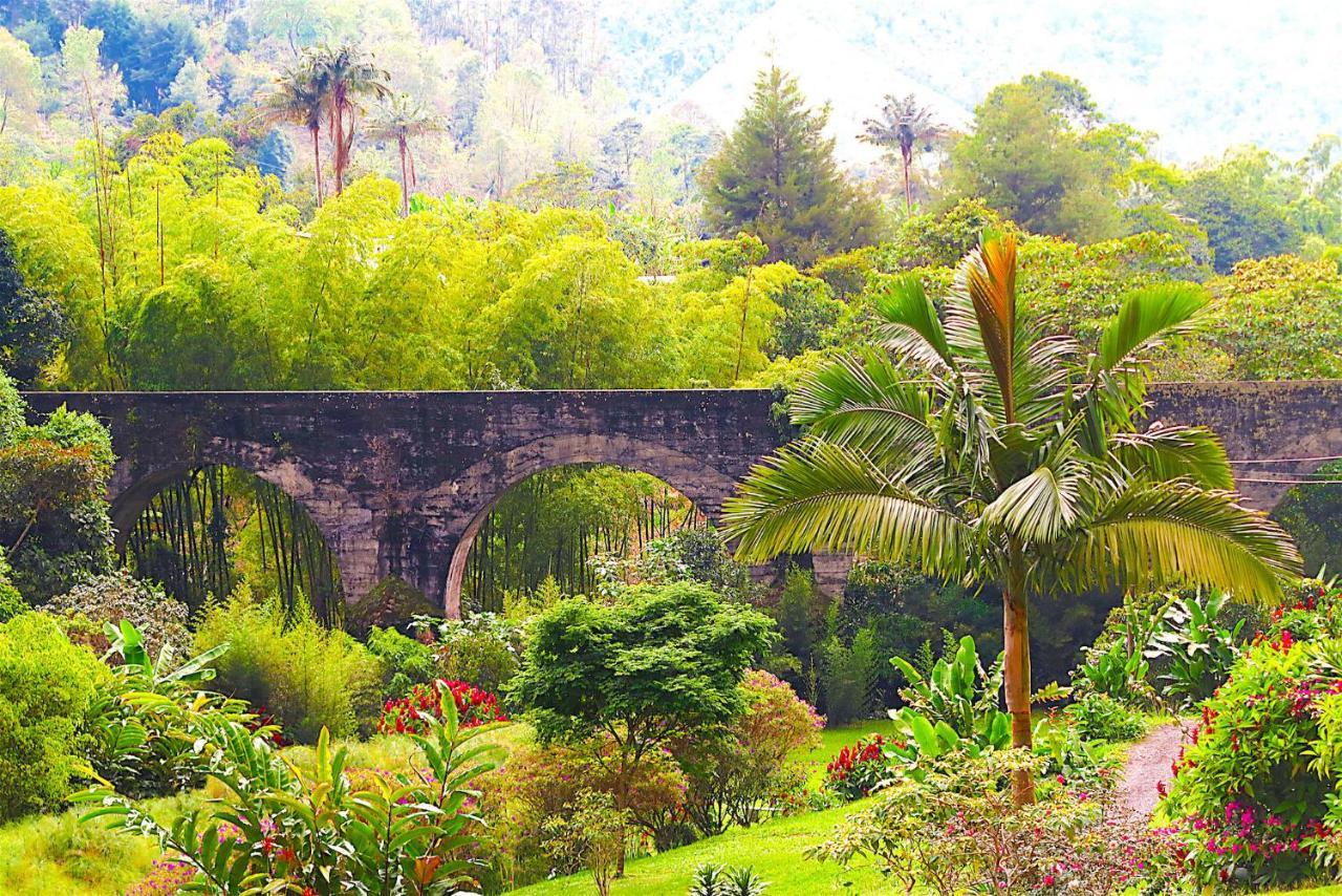 سالنتو Ecolodge Puente Explanacion المظهر الخارجي الصورة